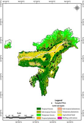 Quantifying Tree Diversity, Carbon Stocks, and Sequestration Potential for Diverse Land Uses in Northeast India